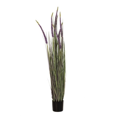 PIANTA LAVANDA D15X120CM